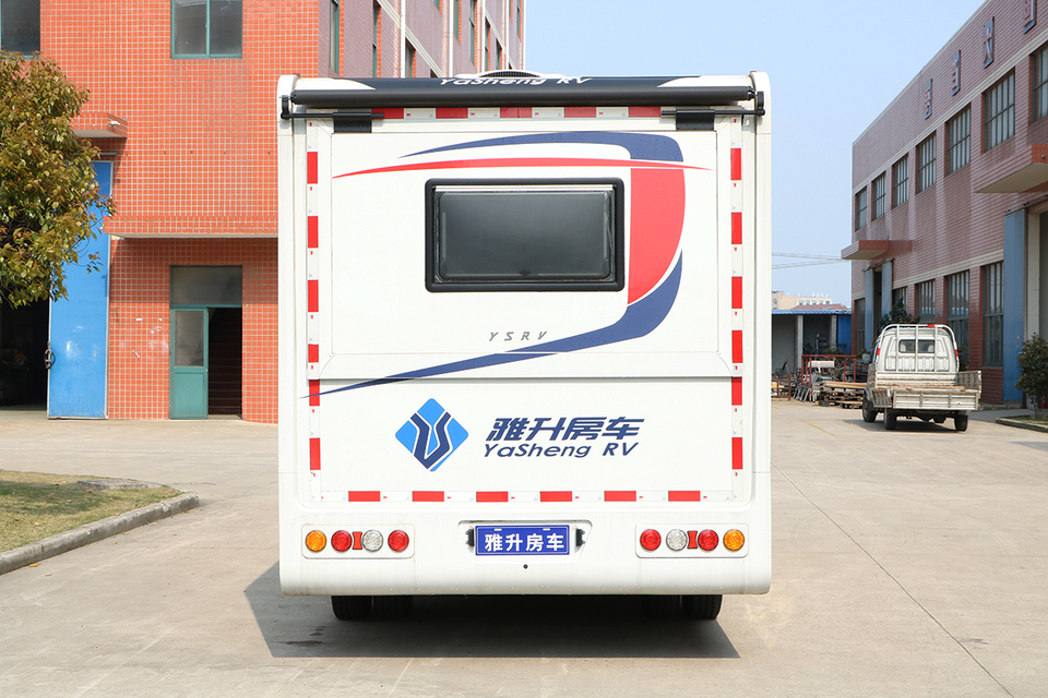 大额头C型